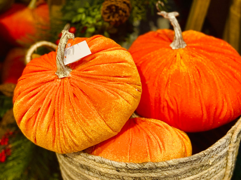 Fall Decorating Favorites