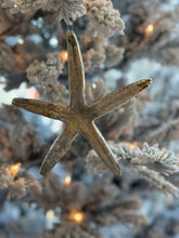 Load image into Gallery viewer, Silver Starfish