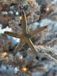 Silver Starfish
