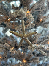 Load image into Gallery viewer, Silver Starfish