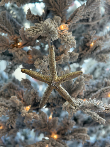 Silver Starfish