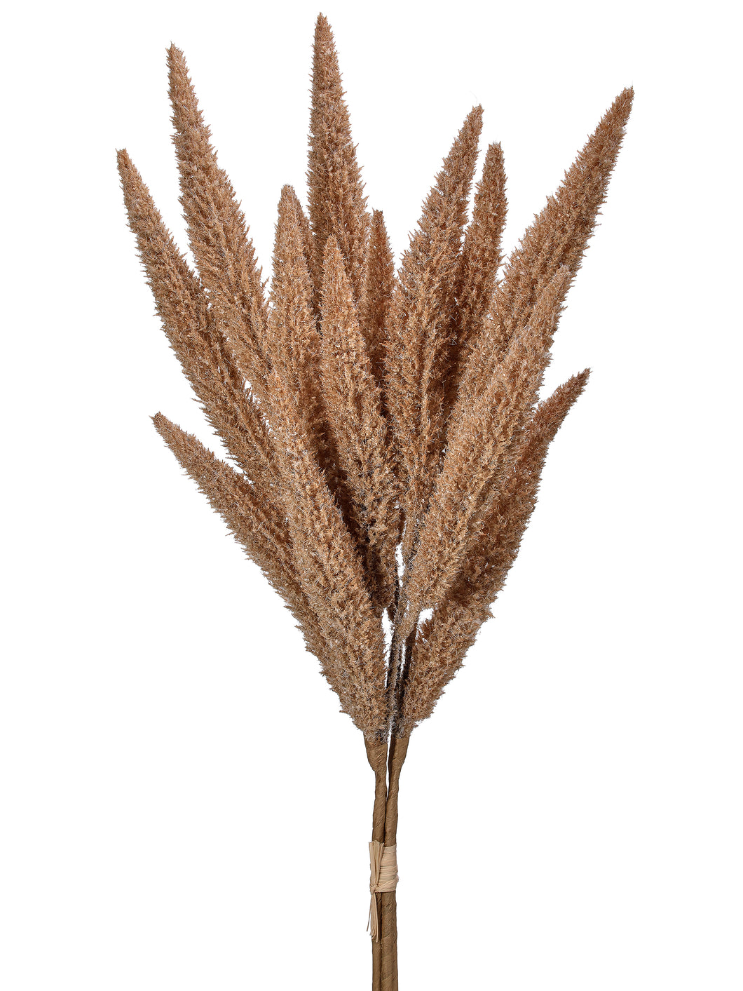Brown Flocked Foxtail Grass Pick