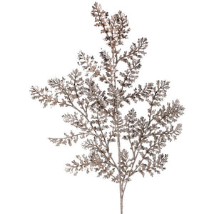 Champagne Wild Fern Pick