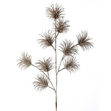Load image into Gallery viewer, Champagne Tillandsia Pick