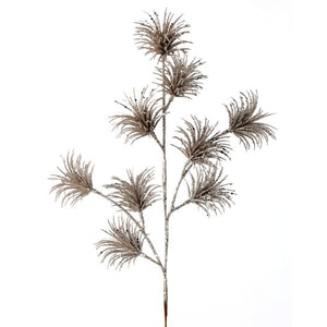 Champagne Tillandsia Pick