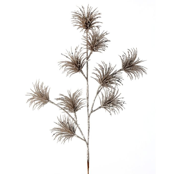 Champagne Tillandsia Pick