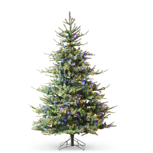Rocky Mountain Spruce 9'