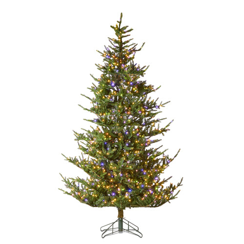 9' Silverton Spruce Tree