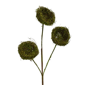 Nest Pick