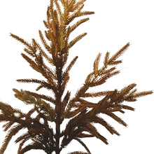 Load image into Gallery viewer, Faux Dried Norfolk Branch