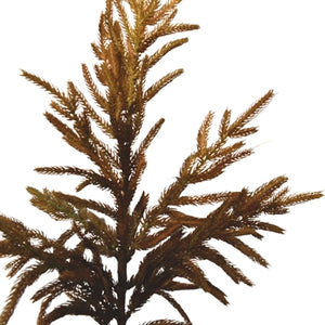 Faux Dried Norfolk Branch