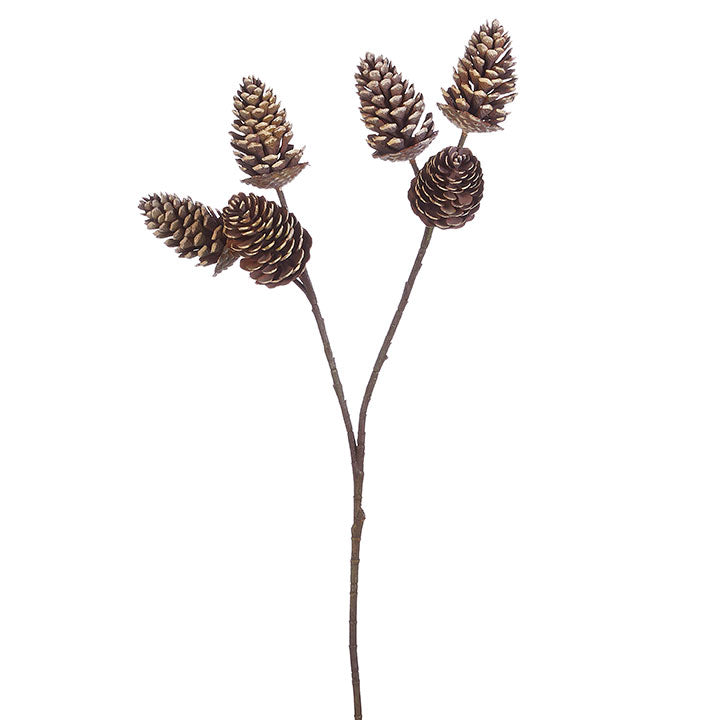 Pinecone Spray