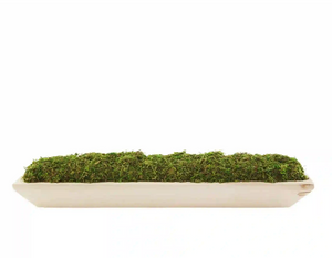 Moss Tray