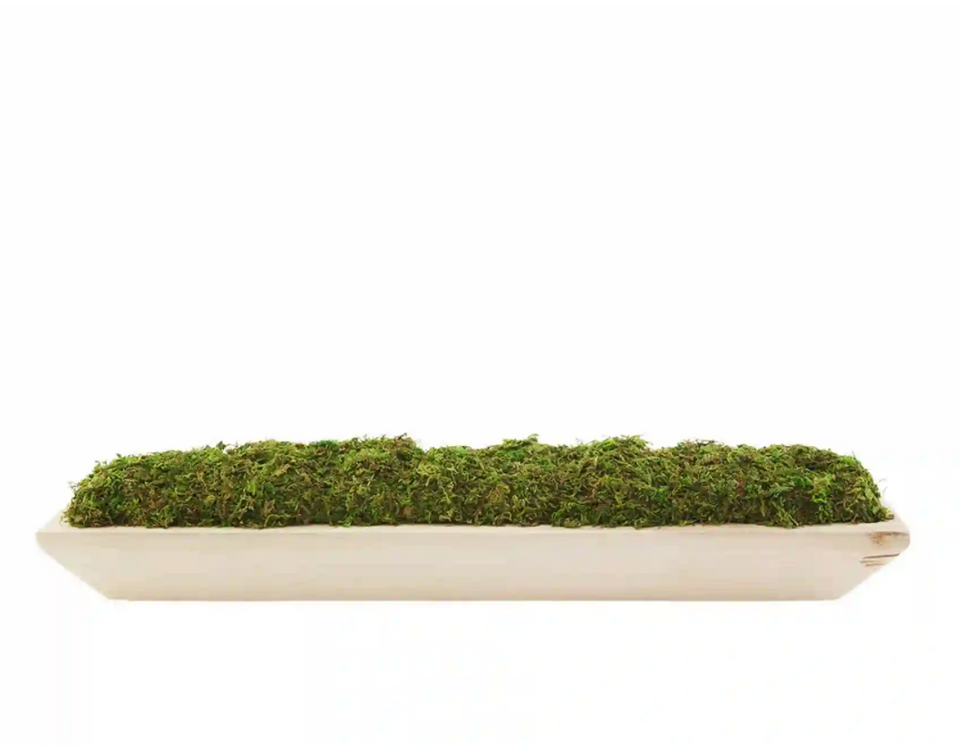 Moss Tray