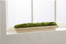 Load image into Gallery viewer, Moss Tray