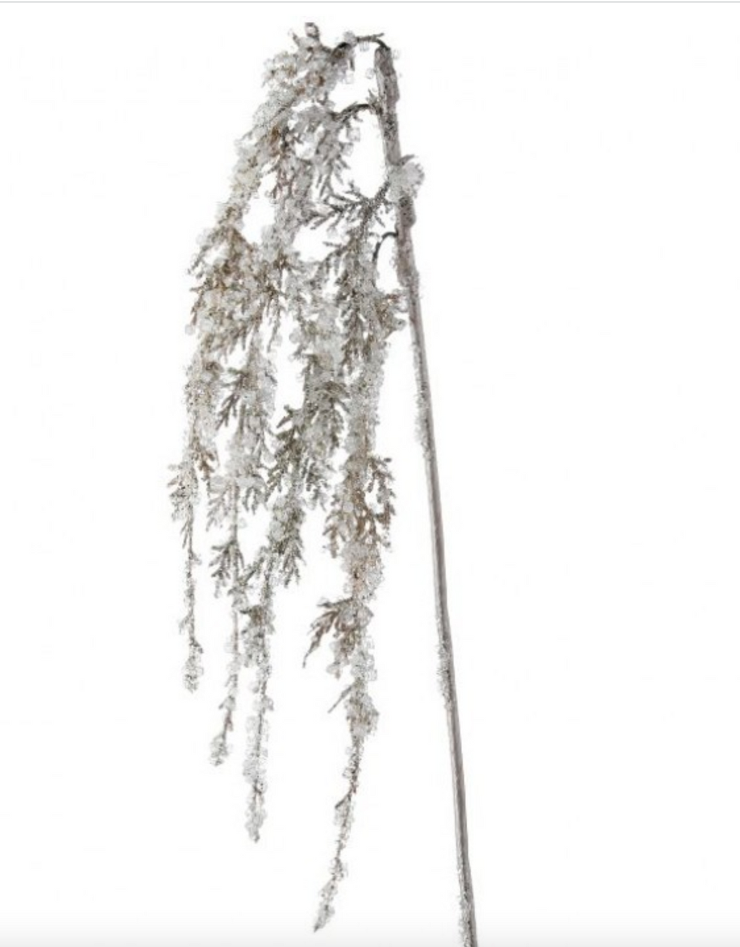Weeping Ice Branch