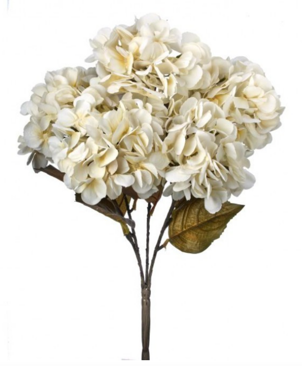 Preserved Hydrangea Bush