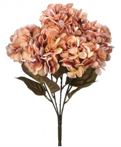 Preserved Hydrangea Bush