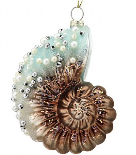 Glass Nautilus