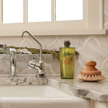 Load image into Gallery viewer, Frasier Fir Dishwashing Liquid