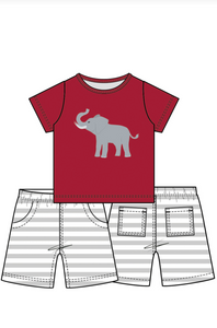 Grey & Crimson Boy's Shorts Set