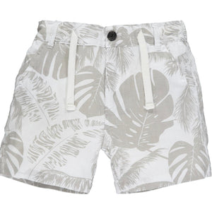 Maui Shorts Grey