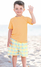 Load image into Gallery viewer, Summertime Gingham Swim Trunks