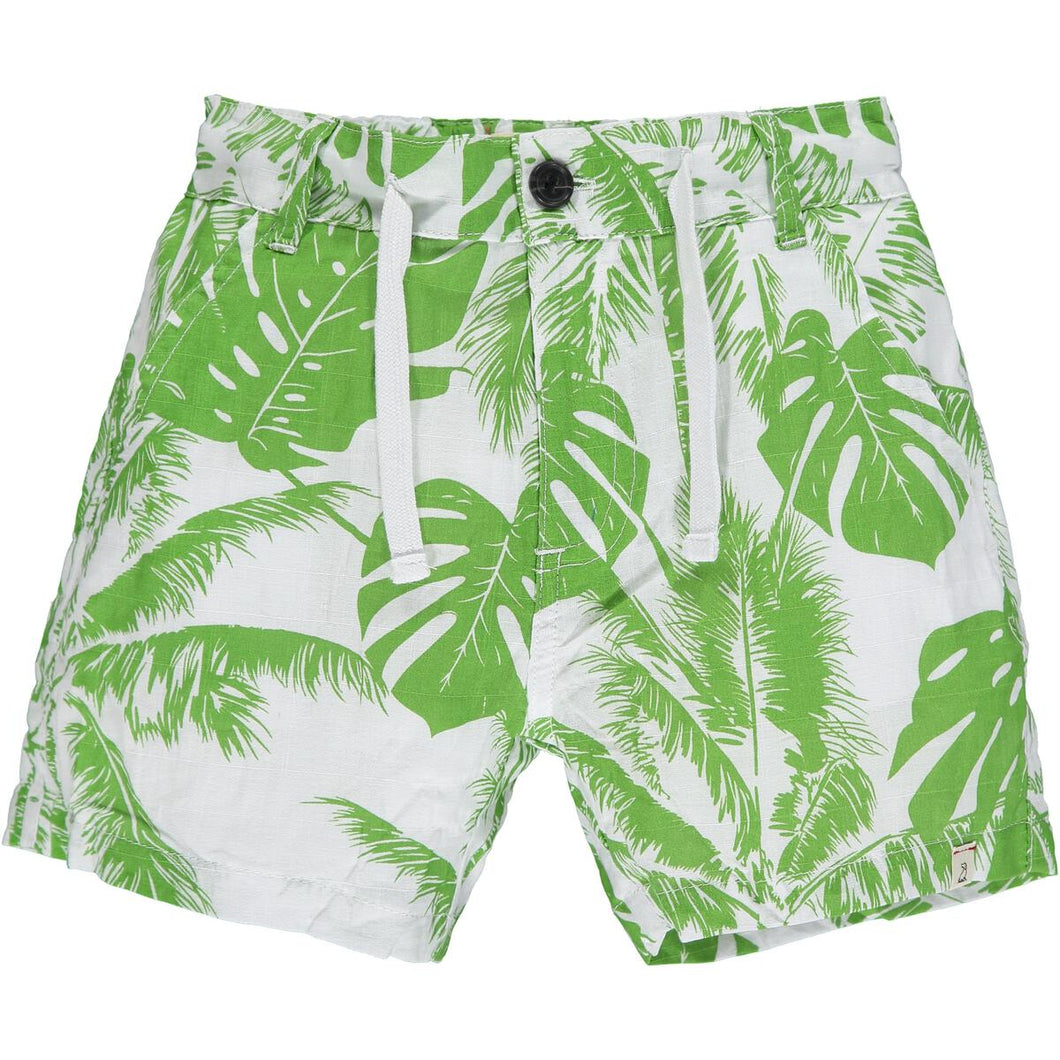 Maui Shorts Sage