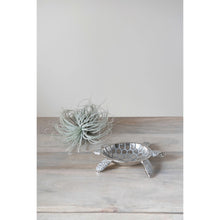 Load image into Gallery viewer, Aluminum Turtle Dish