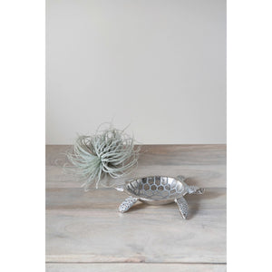 Aluminum Turtle Dish